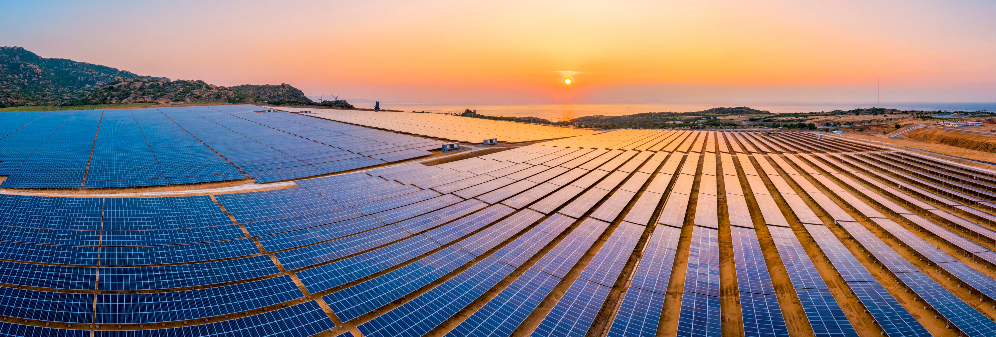 A field covered in solar panels, reflecting the setting sun, surrounded by rocky hills and the sea.